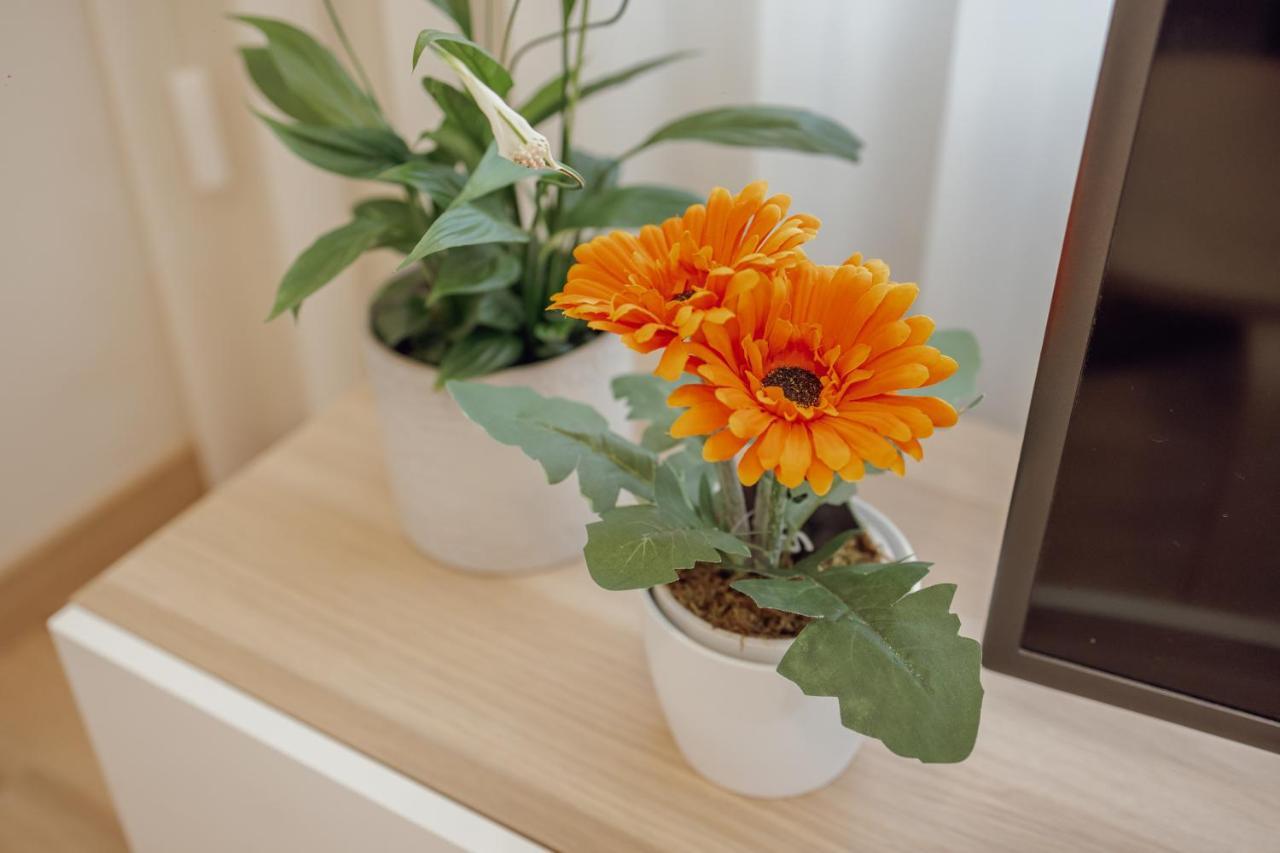 Modern Trindade By Homing Apartment Porto Luaran gambar